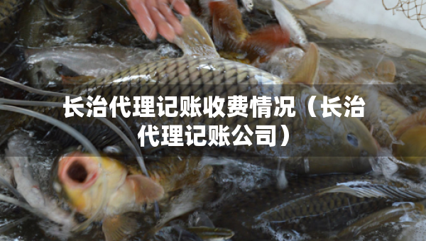 長治代理記賬收費情況（長治代理記賬公司）