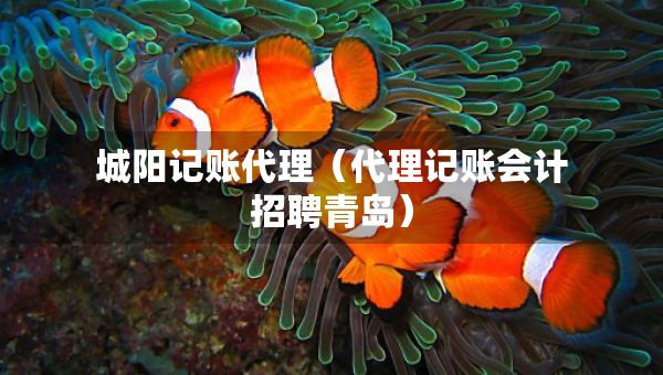 城陽記賬代理（代理記賬會計招聘青島）