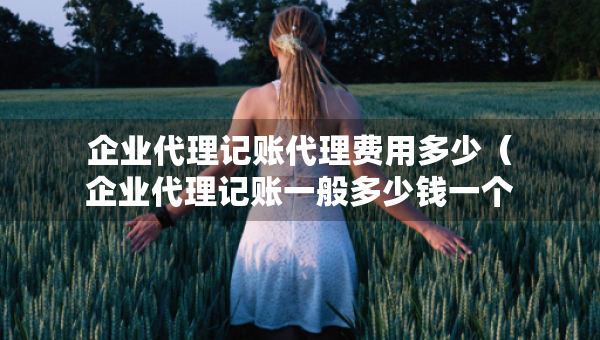 企業(yè)代理記賬代理費(fèi)用多少（企業(yè)代理記賬一般多少錢一個(gè)月）