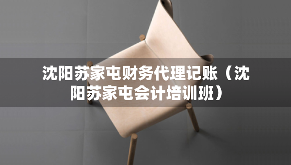 沈陽(yáng)蘇家屯財(cái)務(wù)代理記賬（沈陽(yáng)蘇家屯會(huì)計(jì)培訓(xùn)班）