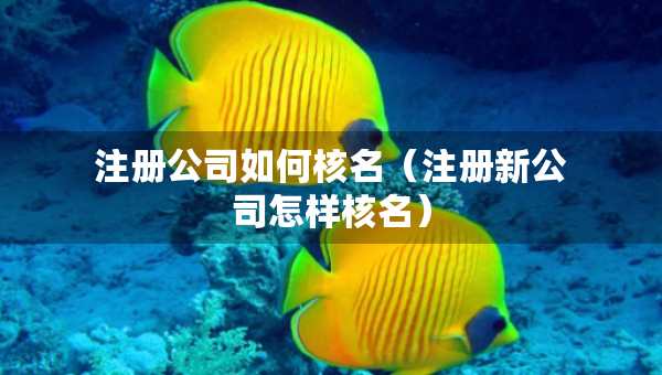 注冊公司如何核名（注冊新公司怎樣核名）