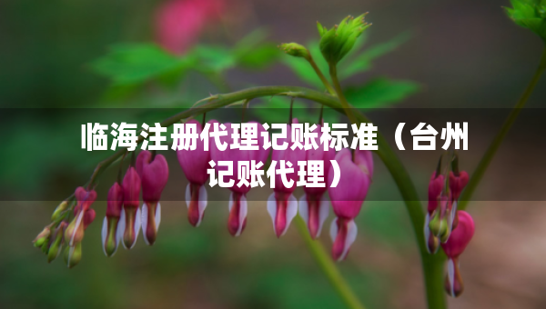 臨海注冊(cè)代理記賬標(biāo)準(zhǔn)（臺(tái)州記賬代理）