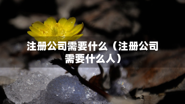 注冊公司需要什么（注冊公司需要什么人）
