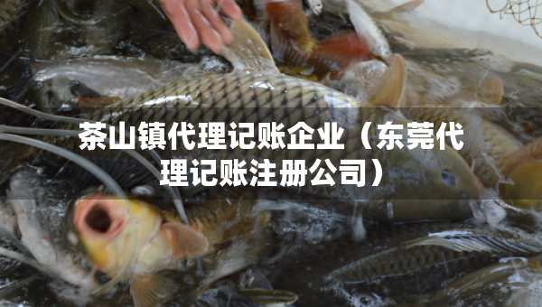 茶山鎮(zhèn)代理記賬企業(yè)（東莞代理記賬注冊(cè)公司）