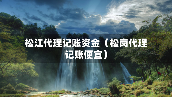 松江代理記賬資金（松崗代理記賬便宜）