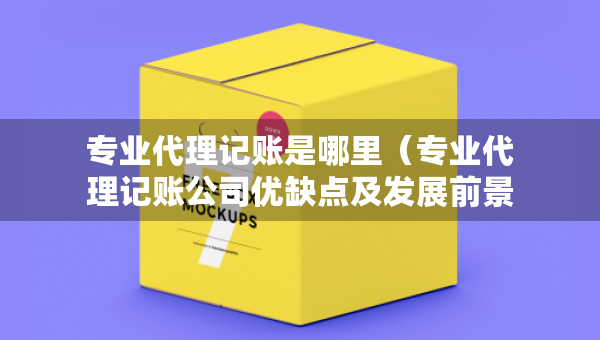 專業(yè)代理記賬是哪里（專業(yè)代理記賬公司優(yōu)缺點及發(fā)展前景論文）