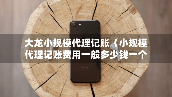 大龍小規(guī)模代理記賬（小規(guī)模代理記賬費(fèi)用一般多少錢一個(gè)月）