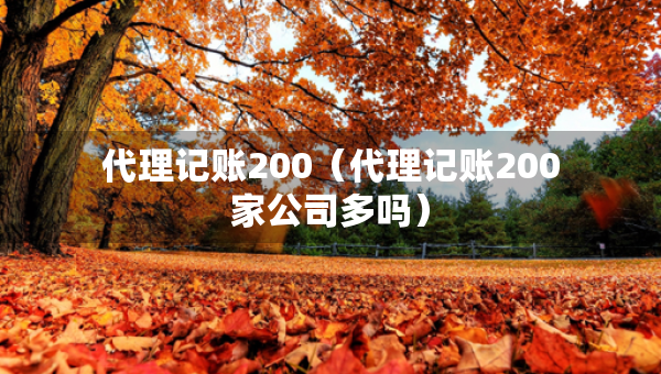 代理記賬200（代理記賬200家公司多嗎）