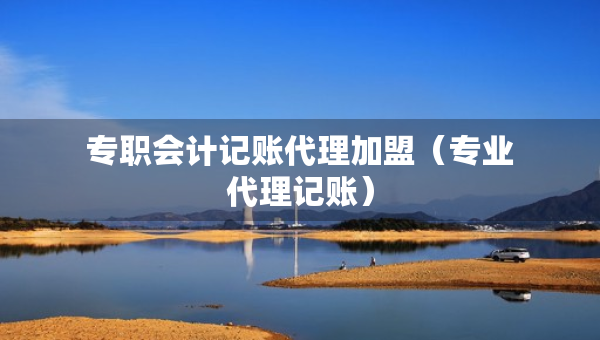 專職會計記賬代理加盟（專業(yè)代理記賬）