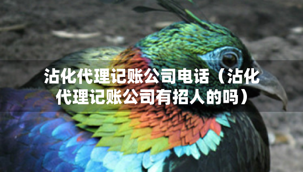 沾化代理記賬公司電話（沾化代理記賬公司有招人的嗎）
