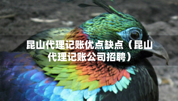昆山代理記賬優(yōu)點(diǎn)缺點(diǎn)（昆山代理記賬公司招聘）
