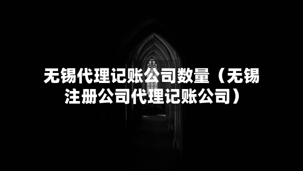 無錫代理記賬公司數(shù)量（無錫注冊公司代理記賬公司）