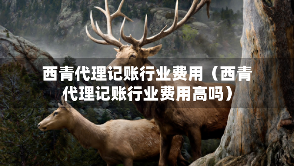 西青代理記賬行業(yè)費(fèi)用（西青代理記賬行業(yè)費(fèi)用高嗎）
