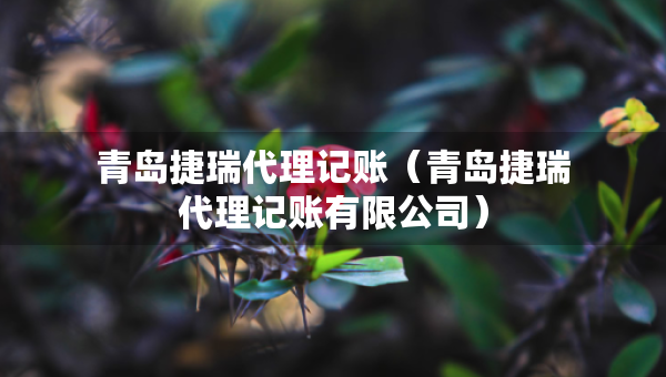 青島捷瑞代理記賬（青島捷瑞代理記賬有限公司）