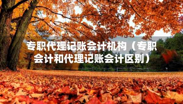專職代理記賬會計機構(gòu)（專職會計和代理記賬會計區(qū)別）
