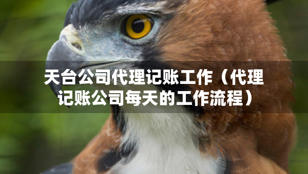 天臺(tái)公司代理記賬工作（代理記賬公司每天的工作流程）
