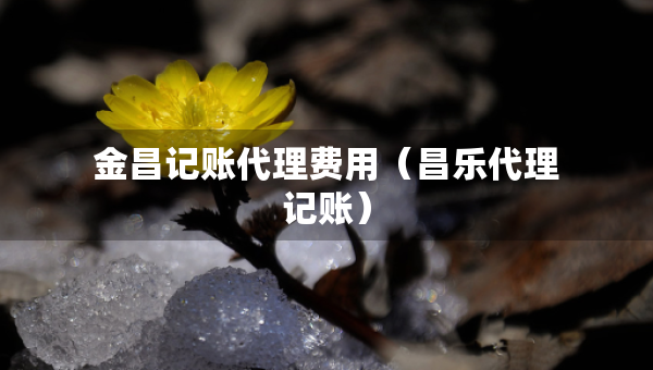 金昌記賬代理費用（昌樂代理記賬）