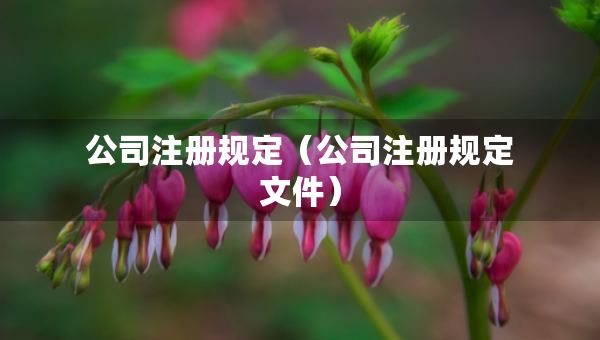 公司注冊(cè)規(guī)定（公司注冊(cè)規(guī)定文件）