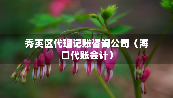 秀英區(qū)代理記賬咨詢公司（?？诖~會計）