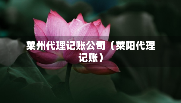 萊州代理記賬公司（萊陽代理記賬）
