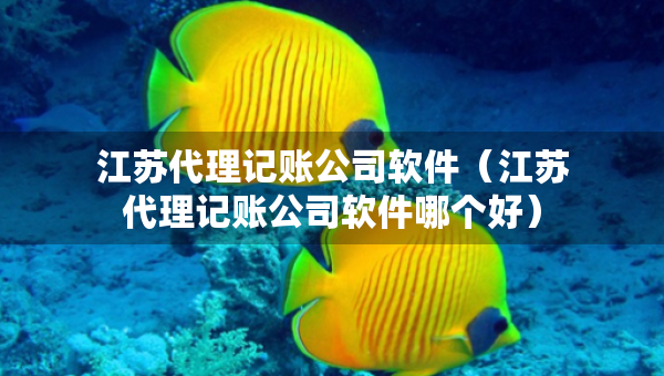 江蘇代理記賬公司軟件（江蘇代理記賬公司軟件哪個(gè)好）