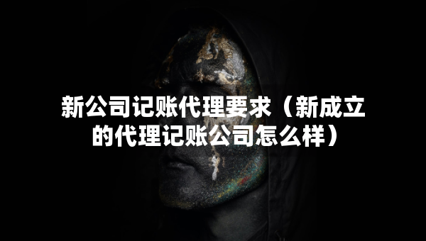新公司記賬代理要求（新成立的代理記賬公司怎么樣）