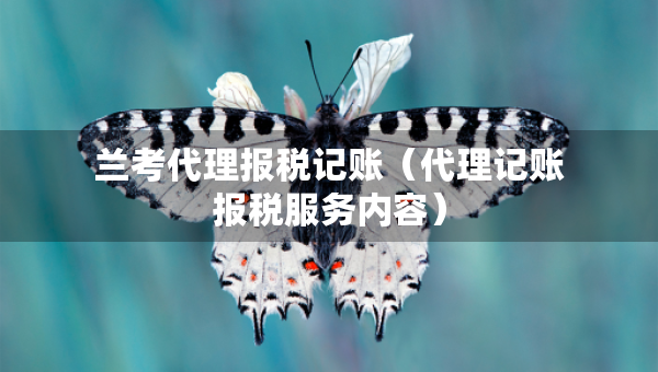 蘭考代理報(bào)稅記賬（代理記賬報(bào)稅服務(wù)內(nèi)容）