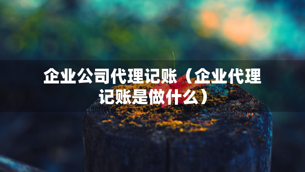 企業(yè)公司代理記賬（企業(yè)代理記賬是做什么）