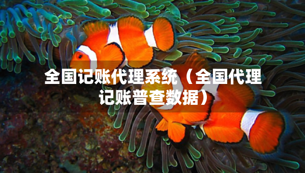 全國記賬代理系統(tǒng)（全國代理記賬普查數(shù)據(jù)）