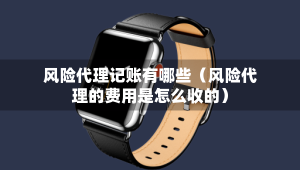 風(fēng)險(xiǎn)代理記賬有哪些（風(fēng)險(xiǎn)代理的費(fèi)用是怎么收的）