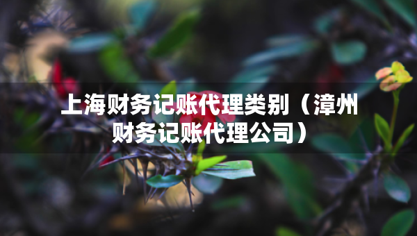 上海財(cái)務(wù)記賬代理類別（漳州財(cái)務(wù)記賬代理公司）