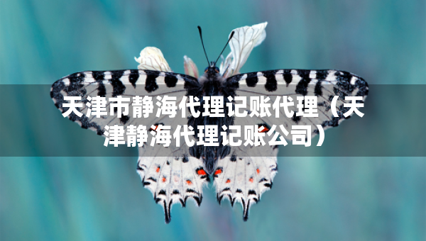 天津市靜海代理記賬代理（天津靜海代理記賬公司）