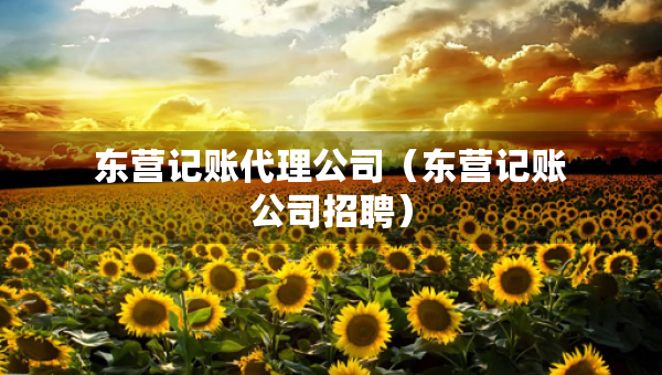 東營記賬代理公司（東營記賬公司招聘）