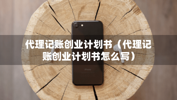 代理記賬創(chuàng)業(yè)計(jì)劃書(shū)（代理記賬創(chuàng)業(yè)計(jì)劃書(shū)怎么寫）