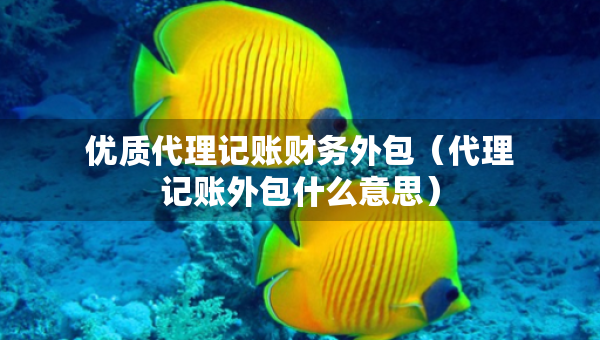 優(yōu)質(zhì)代理記賬財(cái)務(wù)外包（代理記賬外包什么意思）