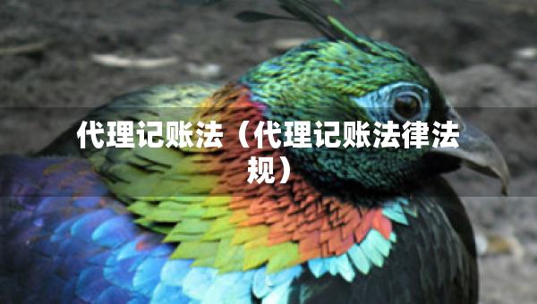 代理記賬法（代理記賬法律法規(guī)）