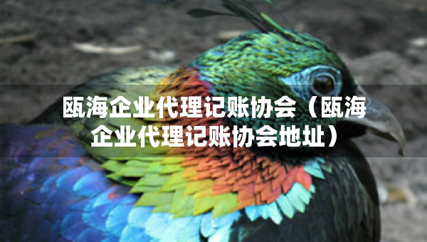 甌海企業(yè)代理記賬協(xié)會（甌海企業(yè)代理記賬協(xié)會地址）