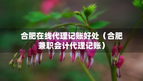 合肥在線代理記賬好處（合肥兼職會計代理記賬）
