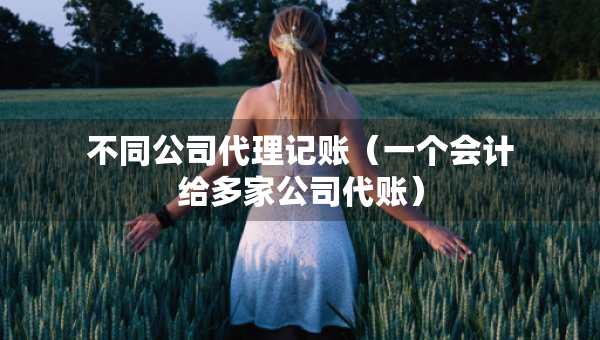 不同公司代理記賬（一個會計給多家公司代賬）