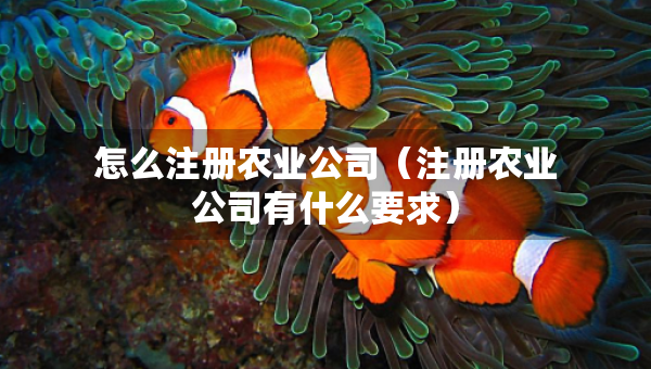 怎么注冊農(nóng)業(yè)公司（注冊農(nóng)業(yè)公司有什么要求）