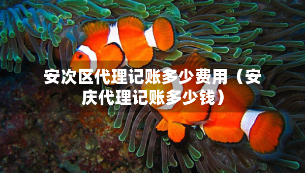 安次區(qū)代理記賬多少費(fèi)用（安慶代理記賬多少錢）