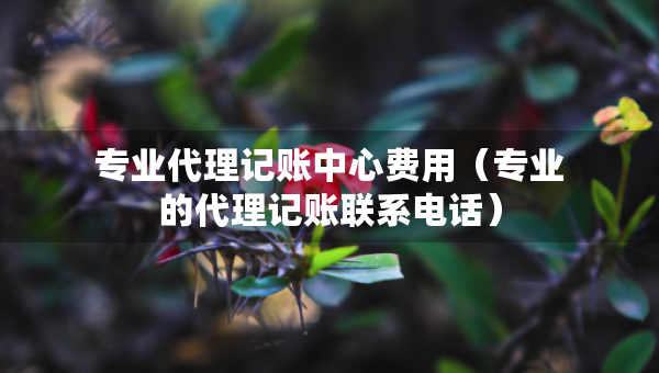 專業(yè)代理記賬中心費(fèi)用（專業(yè)的代理記賬聯(lián)系電話）