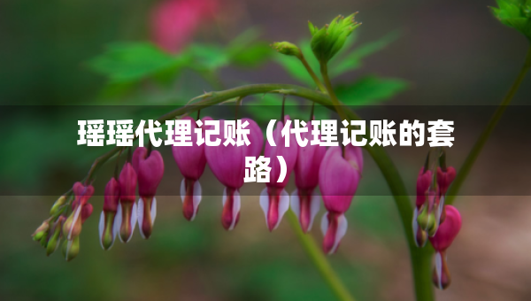 瑤瑤代理記賬（代理記賬的套路）