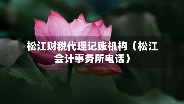 松江財稅代理記賬機構(gòu)（松江會計事務(wù)所電話）