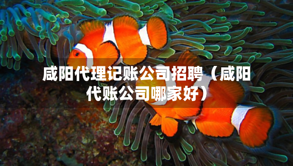 咸陽(yáng)代理記賬公司招聘（咸陽(yáng)代賬公司哪家好）