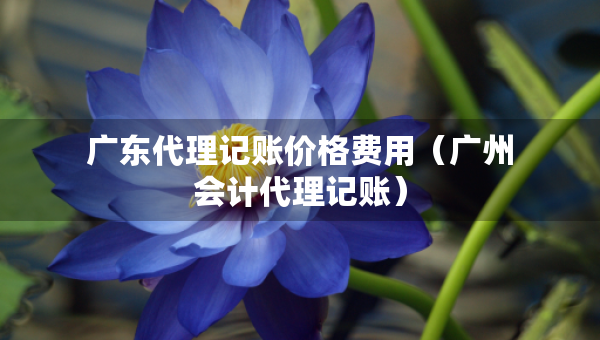 廣東代理記賬價格費用（廣州會計代理記賬）