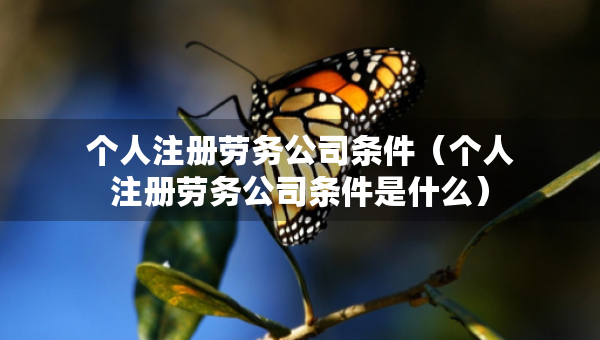 個(gè)人注冊(cè)勞務(wù)公司條件（個(gè)人注冊(cè)勞務(wù)公司條件是什么）