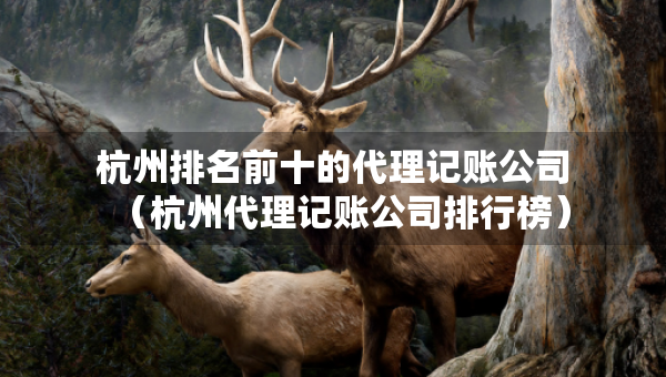 杭州排名前十的代理記賬公司（杭州代理記賬公司排行榜）