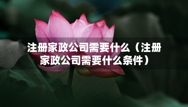 注冊家政公司需要什么（注冊家政公司需要什么條件）