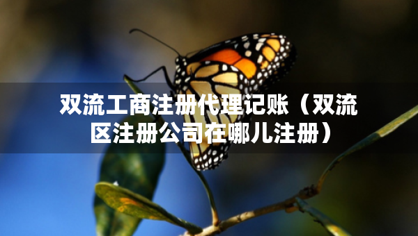 雙流工商注冊代理記賬（雙流區(qū)注冊公司在哪兒注冊）